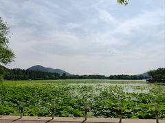 -云龙湖旅游景区