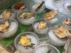-半岛翡丽海鲜自助餐厅(观风亭店)