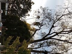-比弗利花园