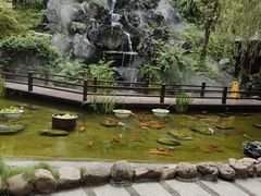 -耕渔小院·湖南鱼鲜(望城店)
