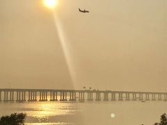 -宝安西湾红树林湿地公园