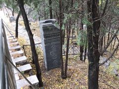 -阳台山自然风景区