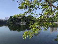 -东山湖公园
