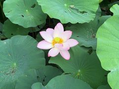 -莲池书院博物馆
