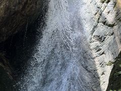 -牛背梁国家森林公园