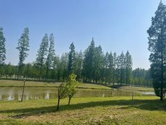 -黄海国家森林公园