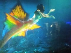 -烟台海昌鲸鲨海洋公园