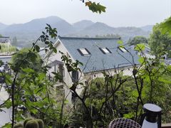 -马灯部落·西湖边的创意山景餐厅(虎跑动物园店)