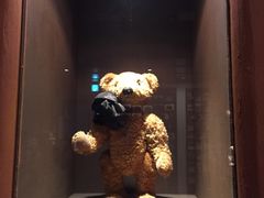 -济州岛泰迪熊博物馆