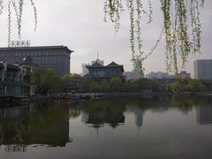 -文瀛公园
