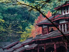 -重庆彩云湖湿地公园