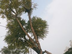 -沐仙湖湿地公园