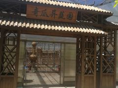 -上海都市菜园