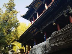 -晋祠公园