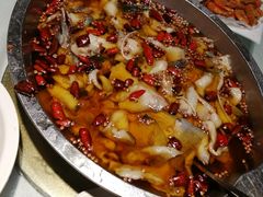 -鑫巴蜀小镇 · 水煮鱼专研店(玉桥店)