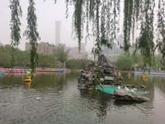 -团结湖公园
