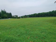 -宜兴龙背山森林公园