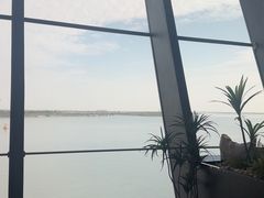 -抱抱地球咖啡馆(国家海洋博物馆店)