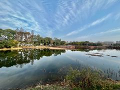 -金银湖国家城市湿地公园