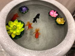 -传世玉颜专业祛痘·问题肌