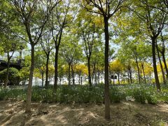 -天津东丽湖风景区