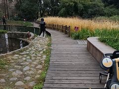 -成都市活水公园