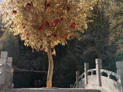 -红螺寺