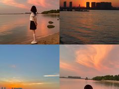 -瑶湖郊野森林公园