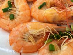 白灼海虾（特色）-滑记海鲜饭店·老字号(海鲜街店)