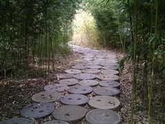 -黄花溪