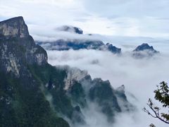 -张家界天门山国家森林公园