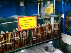 -蚝专家(北滘店)