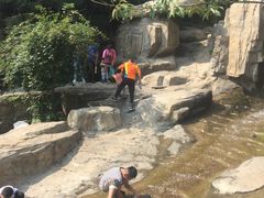 -狼牙山风景区