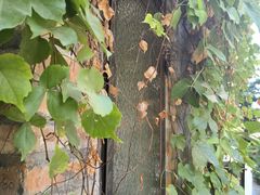 -西关84·History·Art·Cafe