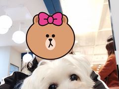 -海马体照相馆(北京apm店)