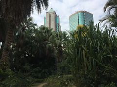 景点-九龙公园
