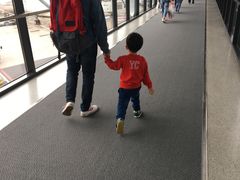 -上海浦东国际机场-T2航站楼
