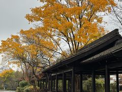 -西溪国家湿地公园