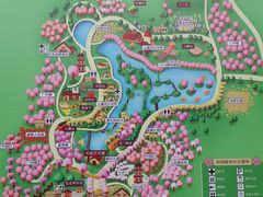 -天适樱花悠乐园