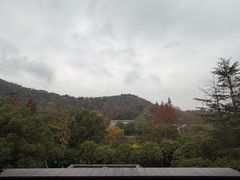 -杭州花家山庄