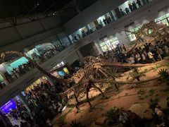 -自贡恐龙博物馆