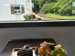 -济州森林小火车生态公园