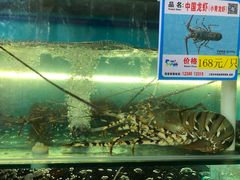 -琼大师东方烤乳猪(亚特兰蒂斯店)