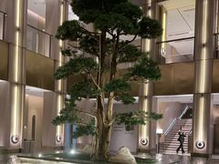 -外滩·云南人家(昆明旗舰店)