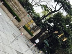-中国福利会少年宫