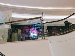 -韵秋荷(宝山龙湖天街店)
