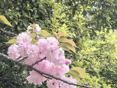 -南京城墙景区