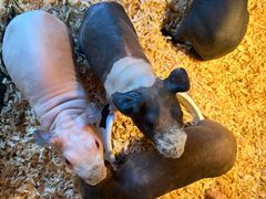 -珠海海泉湾神秘岛亲子乐园