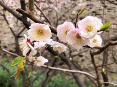 -北京明城墙遗址公园