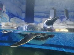 -石林冰雪海洋世界